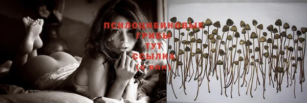 бутират Краснотурьинск
