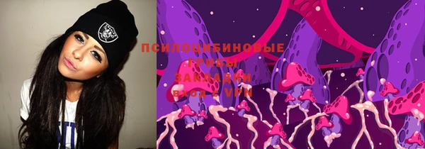стафф Краснослободск