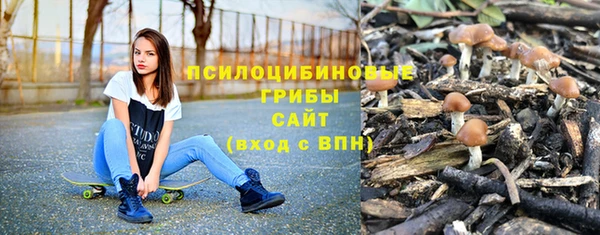 стафф Краснослободск