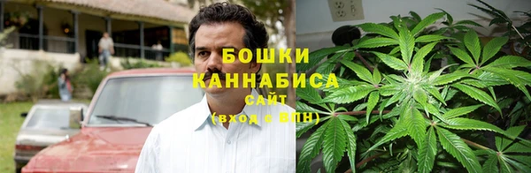 стафф Краснослободск