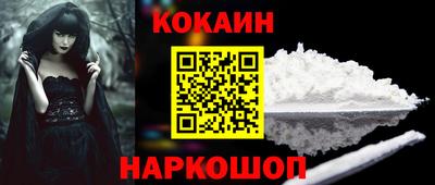 спайс Кингисепп