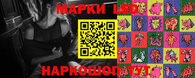 спайс Кингисепп