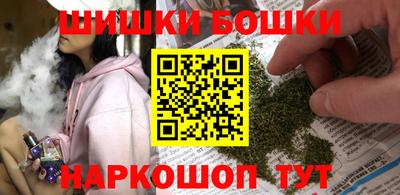 спайс Кингисепп