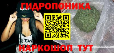 спайс Кингисепп