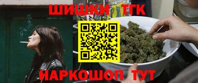спайс Кингисепп