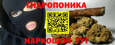 спайс Кингисепп