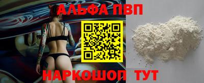 спайс Кингисепп