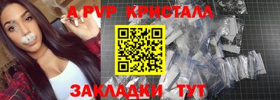 спайс Кингисепп