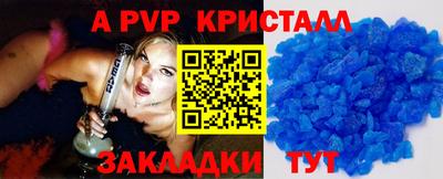 спайс Кингисепп